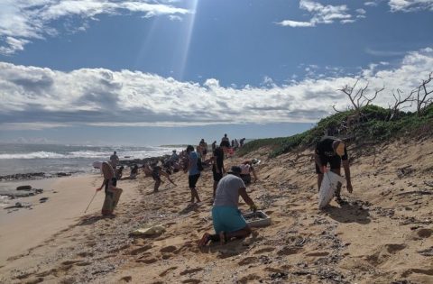 community recycling 2